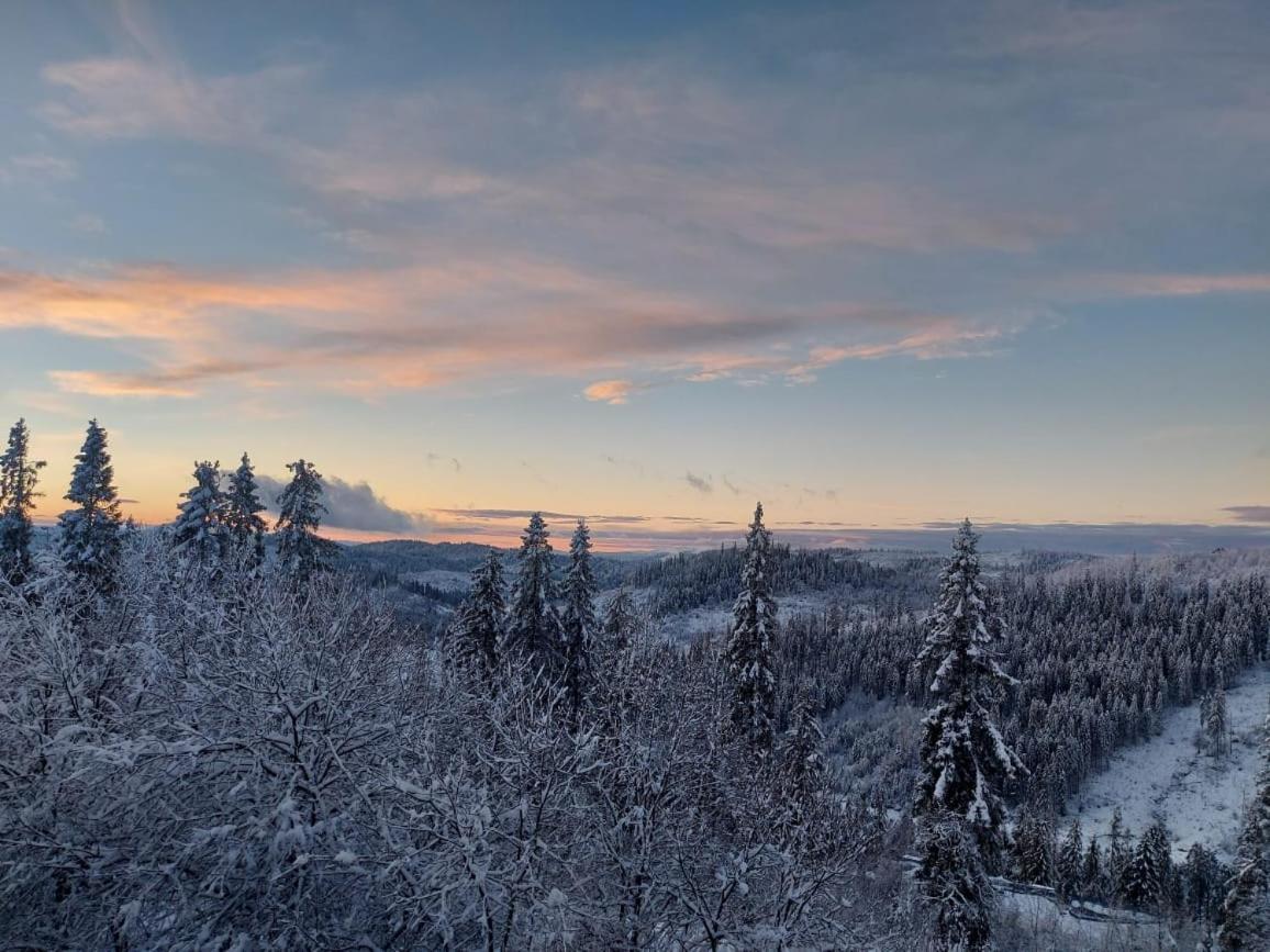 Затишок Villa Tysovets Eksteriør bilde
